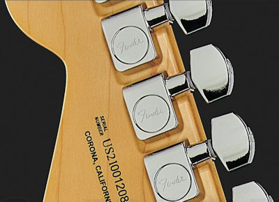 Fender AM Pro II Strat DK NIT